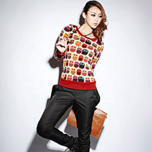 韩版2012新品春装 时尚印花修身百搭毛衫卫衣<span class=H>绒衫</span> <span class=H>打底</span>衫圆领毛衣
