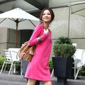 2010春装瑞丽女装新款棉质促销长袖连身裙秋冬韩国排扣连衣裙