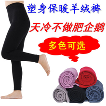 鄂尔多斯原料 加厚超薄 男女士保暖裤羊绒裤塑身羊毛裤打底裤秋冬