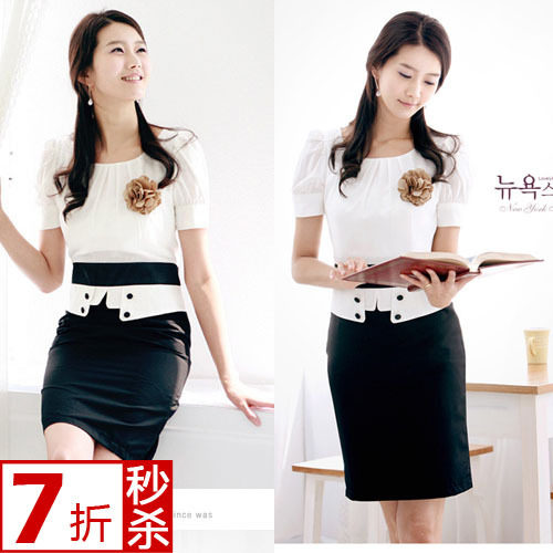2012夏装淑女 新款雪纺裙 短袖修身连衣裙 <span class=H>裙装</span>夏季 气质职业裙