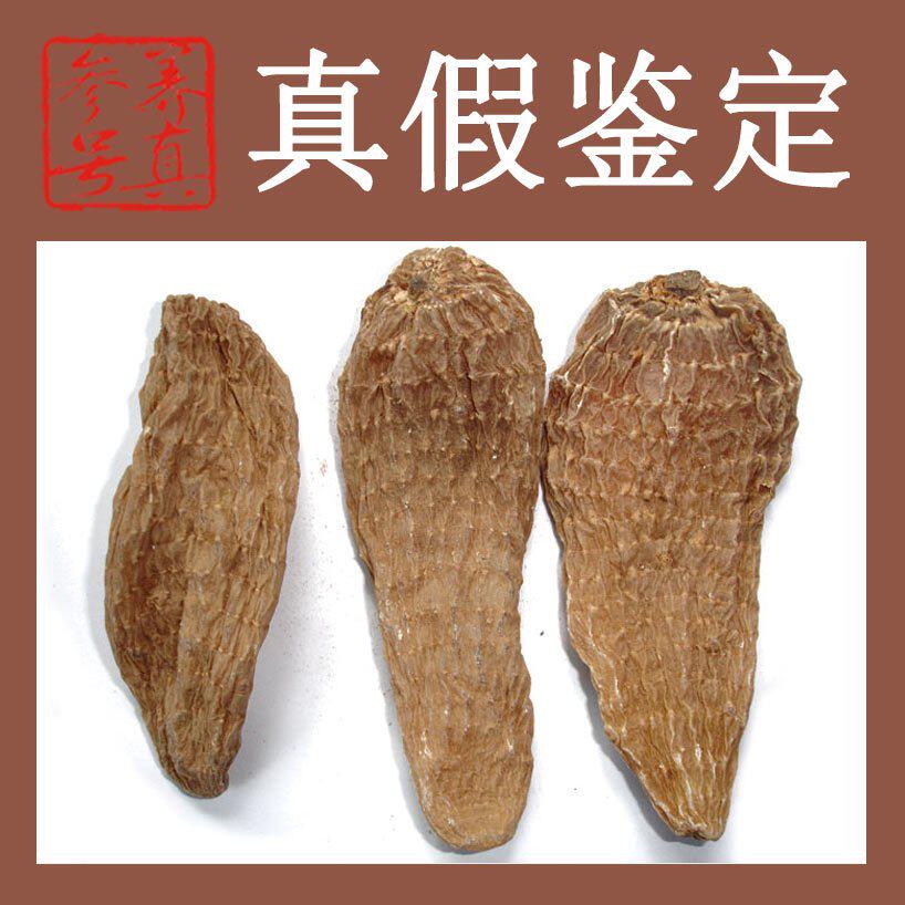 全网唯一真正的野生云南小草坝冬天麻 圆润皮皱节点纹路清晰,100