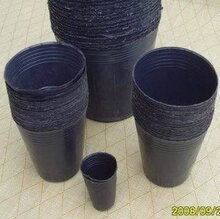 0.015一个营养袋 (规格8*8) 育苗盆 育苗杯 营养杯 花盆