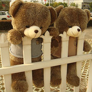 毛毛熊1.6米大号熊娃娃(熊，娃娃)公仔1.2米泰迪熊，毛绒玩具情人节女生日礼物