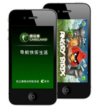 Alfa/阿尔发 D81法双模双待双卡双网天翼电信189 半智能CDMA手机