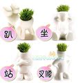 小白人青草盆栽 情侣款 小盆栽迷你植物 草头娃娃 创意桌面栽培
