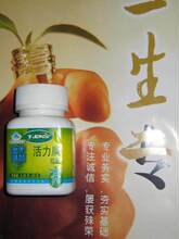 信誉特卖 天狮活力康胶囊09年5月产