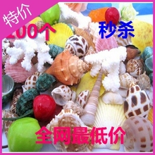 天然海螺贝壳珊瑚套装 100个 450g 贴墙/鱼缸/家居装饰品 造景