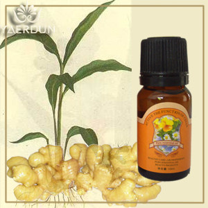 正品带防伪 雅而顿 生姜精油10ML 泡脚泡澡必备!