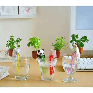  桌面创意绿植 DIY盆栽渴渴吸里小植栽 迷你办公室植物