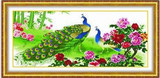 秒杀！正品韩国品居十字绣 动物-D016富贵祯祥 孔雀牡丹 11CT中格