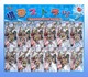 羽翼12个版装圆形滴胶金属指甲钳