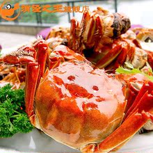正宗阳澄湖大闸蟹 专卖直销 母螃蟹 2.2-2.3两