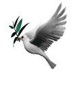 taobao english 9698066278