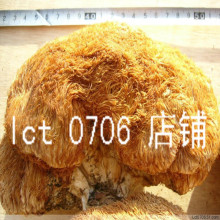 ■双皇冠■ 至尊东北特产 天然野生猴头菇 菌 养胃补虚 一斤包邮
