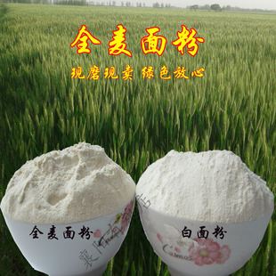  农家新麦现磨 细全麦面粉 高筋面粉 全麦粉含麦麸皮 密封包装特价