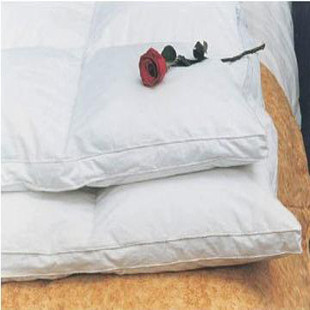 Cotton High count High density Velvet fabric Mattress mattress white 1.5/1.8m Down thickening White duck down mattressin the Bedclothes , Mattress/Mattress/Bed pad/Tatami mattress category - from Buy2taobao.com to provide professional Taobao agent buy service