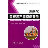 正版:天然气应用与安全丛书 天然气管线投产置换与安全