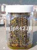 月销千斤|极品老蜂巢蜜250g卖12元|鼻炎咽炎克星蜂巢素原料