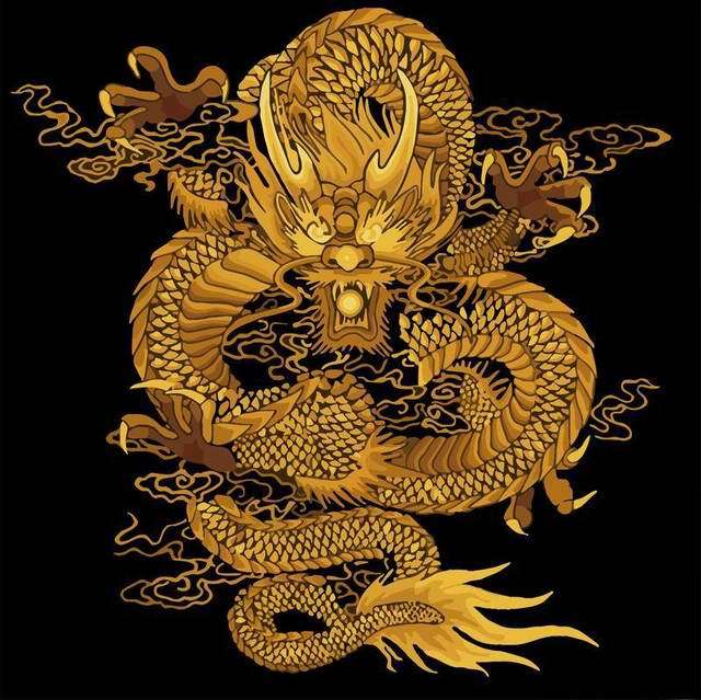 炫金手绘数字油画diy包邮特价客厅风景装饰画抽象画 舞动中国-龙