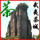 乌龙茶叶武夷岩茶五大名丛小红袍