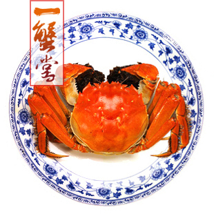  满10只送1只 正宗 现货 阳澄湖大闸蟹 产地直销 公螃蟹3-3.1两