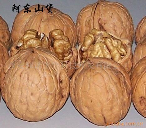 干果山货卢氏核桃/ 野生山核桃/生核桃批发/ 营养价值高 5斤包邮在类目 零食/坚果/特产, 山核桃/坚果/炒货, 纸皮/薄皮核桃中 - 来自Buy2taobao.com提供专业的淘宝代购服务
