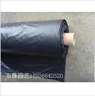 黑色塑料薄膜地膜塑料布塑料大棚农膜加厚无滴膜包装装修薄膜卷在类目 农机/农具/农膜, 农膜/篷布/遮网/大棚, 农用薄膜中 - 来自Buy2taobao.com提供专业的淘宝代购服务