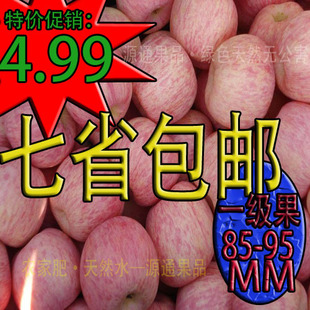  自家正宗烟台苹果 栖霞红富士苹果新鲜水果 有机苹果 个大脆甜