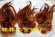 现烤鱿鱼头(辣) 嚼头十足 口水流 250克