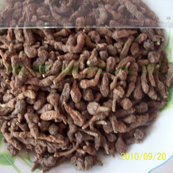 ũ����ؼ���ѡҰ��ާ���� ������ ���ٹ� �˲ι����̲���������