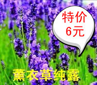 新薰衣草纯露,满68包邮,天然补水爽肤水消炎祛痘祛印美容肤色
