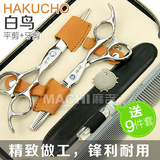 taobao english 6849320094