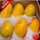 新鲜水果 海南夏威夷木瓜 10斤左右 江浙沪包邮 孩子满月 普天同庆 一流的售后 无后顾之忧