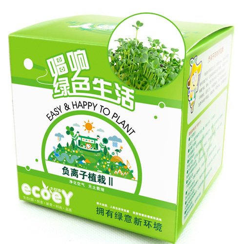 金冠特价 新一代负离子陶碳球植栽(心形草)|种植盆栽