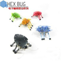HEX BUG 电子感应小强 新奇玩具 创意玩具 电子宠物