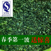 福建铁观音清香型 铁观音茶角 特级铁观音1725 乌龙茶叶 春茶500g