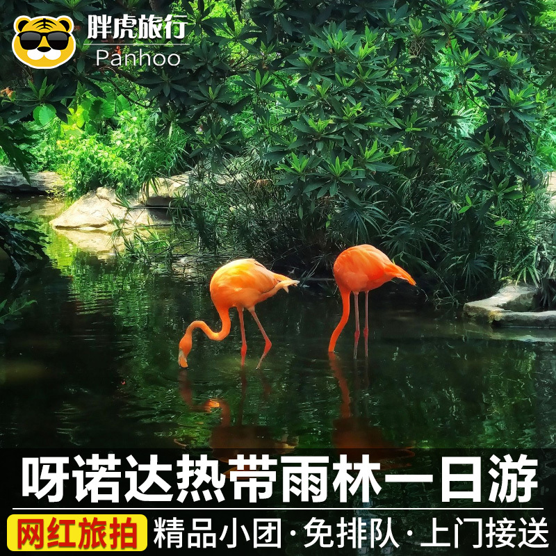 免排队上门接送三亚呀诺达一日游热带雨林纯玩跟团槟榔谷海南旅游在类目 度假线路/签证送关/旅游服务, 自由行/跟团游, 国内跟团游中 - 来自Buy2taobao.com提供专业的淘宝代购服务