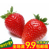 奶油白草莓水果种子四季盆栽红草莓种子蔬菜种子阳台播种原厂包装