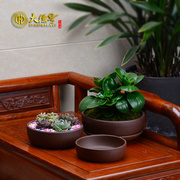 多肉植物花盆紫砂盆绿植陶瓷个性简约创意大小水培绿萝