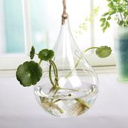 悬吊创意玻璃花瓶水培容器透明锥形花器小吊瓶简约家居装饰生态瓶