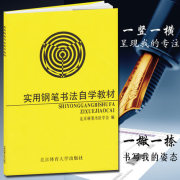 实用钢笔书法自学教材 新手成人楷书字帖瘦金体行书隶书硬笔书法字帖入门教程基础庞中华 正版 北京体育大学出版社