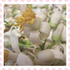 新鲜柚子花鲜花 做纯露精油做花茶花材，基地直发，团购中