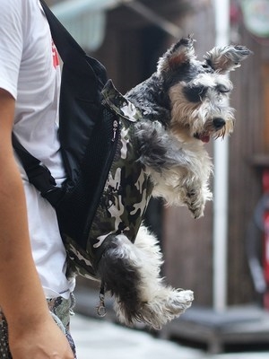宠物背包狗狗外出便携包猫咪胸前背带包袋子泰迪小型犬透气双肩包