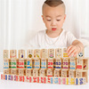 100片多米诺骨牌双面汉字数字运算识字积木1-6岁宝宝益智儿童玩具
