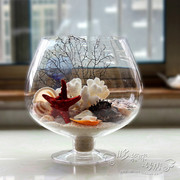 欧式酒杯创意时尚透明圆形，玻璃鱼缸水培，插花高脚花瓶小花器摆件
