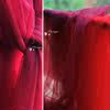 事儿 超透明婚纱网－高定礼服面料加密柔软幅宽160cm玛莎拉正红色