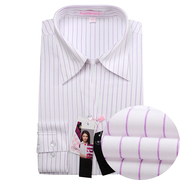 好派纯棉长袖衬衫女士紫色条纹，v字领纯棉，银行员工服半袖工装衬衣