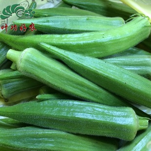 新鲜蔬菜 黄秋葵 洋辣椒 六角豆 野菜秋葵 500g