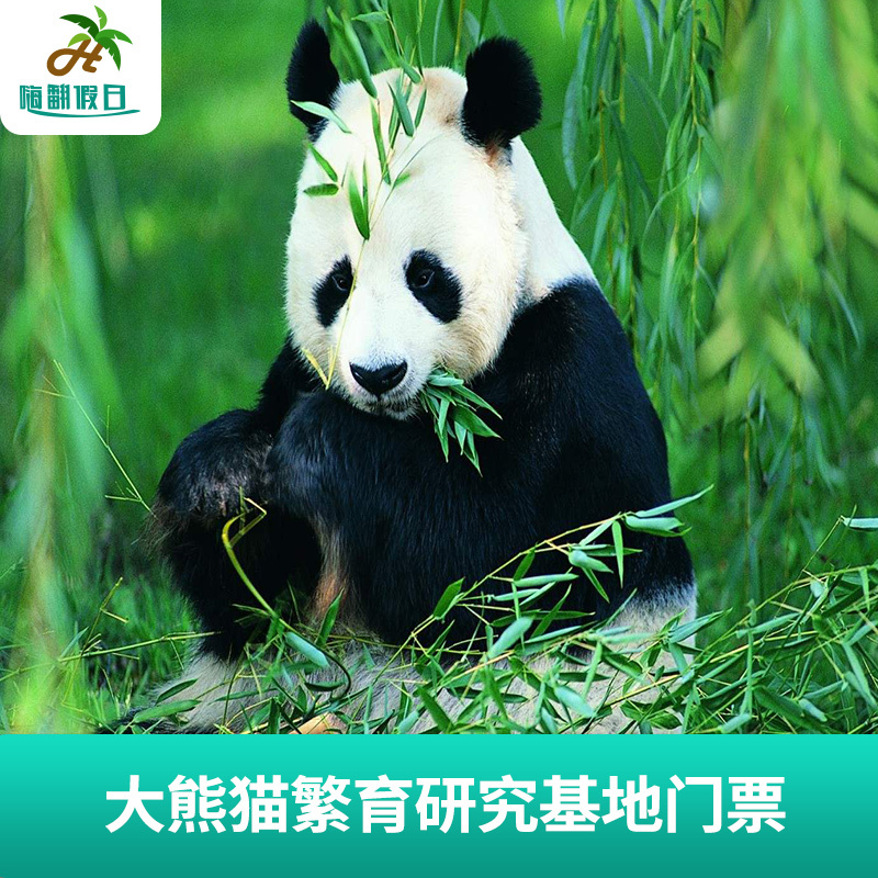 Sichuan Province Chengdu Chengdu Giant Panda breed Research Base Big Ticket Chengdu Tourism Lin the Attraction tickets/Live performance/Theme Parks , Domestic Ticketing category - from Buy2taobao.com to provide professional Taobao agent buy service