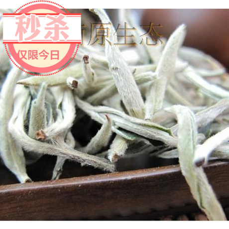 大白毫普洱